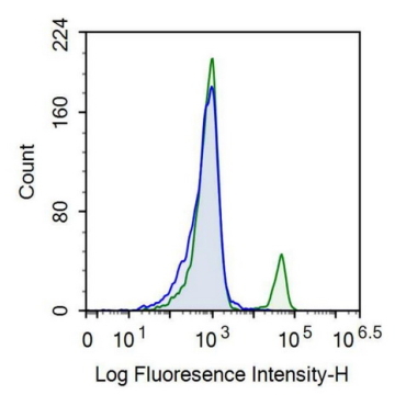 Cluster Of Differentiation 19 (CD19) Human Recombinant Antibody