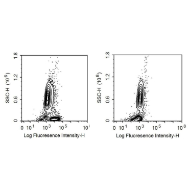 Interleukin 7 Receptor (IL7R) Human Recombinant Antibody