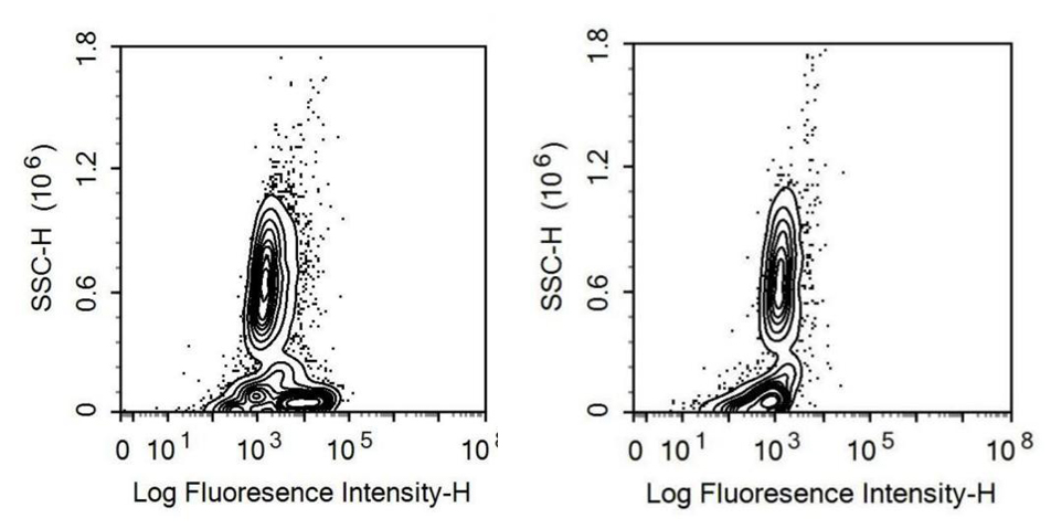 Interleukin 7 Receptor (IL7R) Human Recombinant Antibody