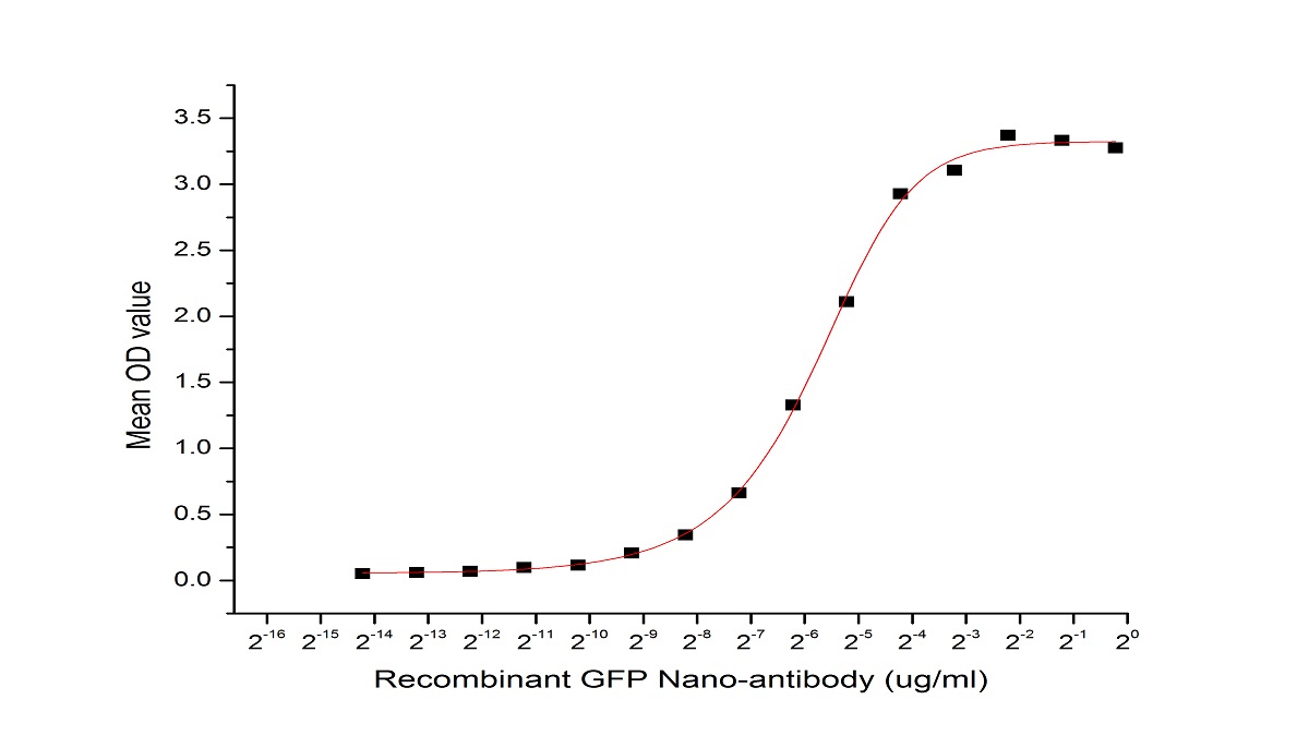 Green Fluorescent Protein (GFP) Pan-species (General) Recombinant Antibody