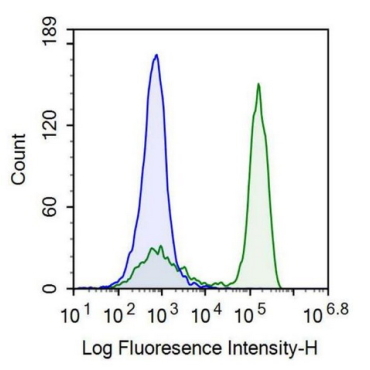 T-Cell Surface Glycoprotein CD3 Epsilon (CD3e) Human Recombinant Antibody