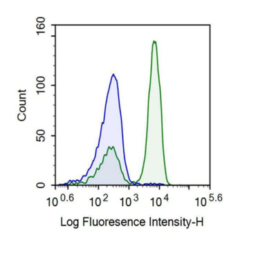 T-Cell Surface Glycoprotein CD3 Epsilon (CD3e) Human Recombinant Antibody