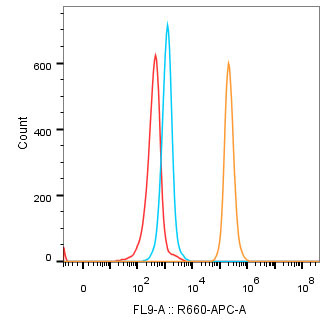 CD40 Rabbit Monoclonal Antibody