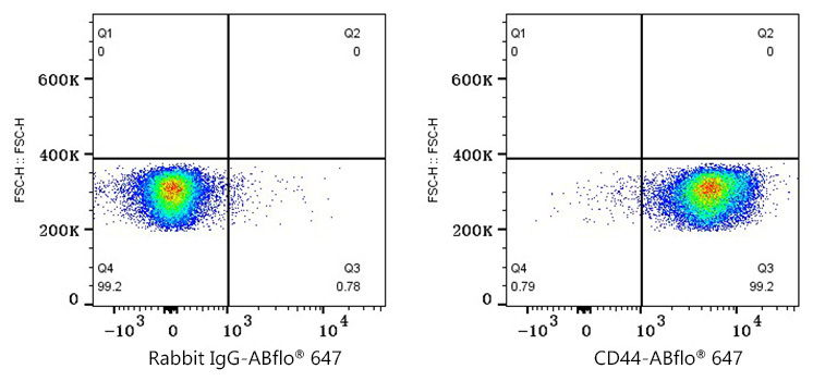 CD44 Rabbit Monoclonal Antibody - Image 7