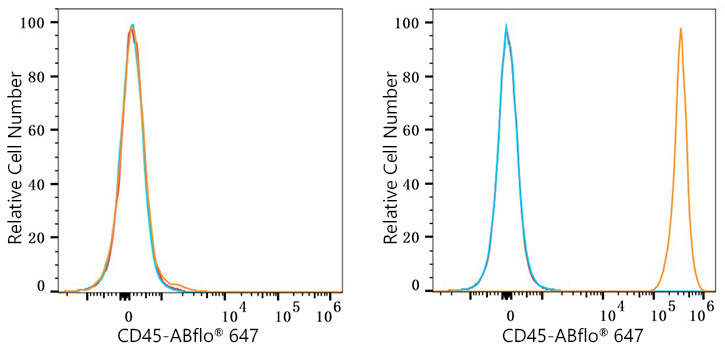 CD45 Rabbit Monoclonal Antibody - Image 8