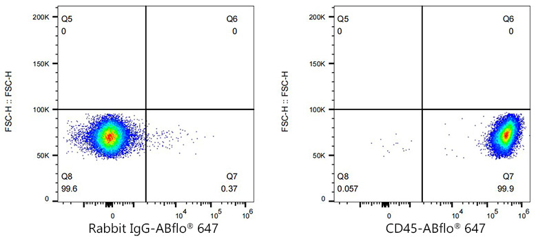 CD45 Rabbit Monoclonal Antibody - Image 9