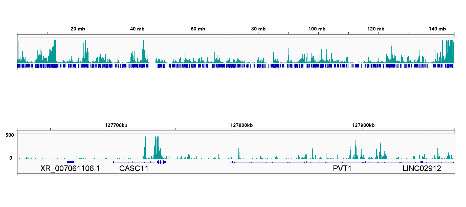 CTCF Rabbit Monoclonal Antibody - Image 2