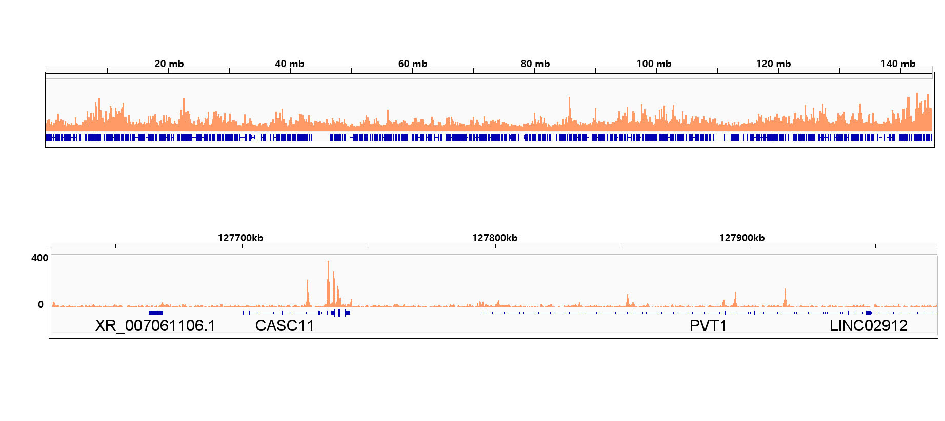 CTCF Rabbit Monoclonal Antibody - Image 9