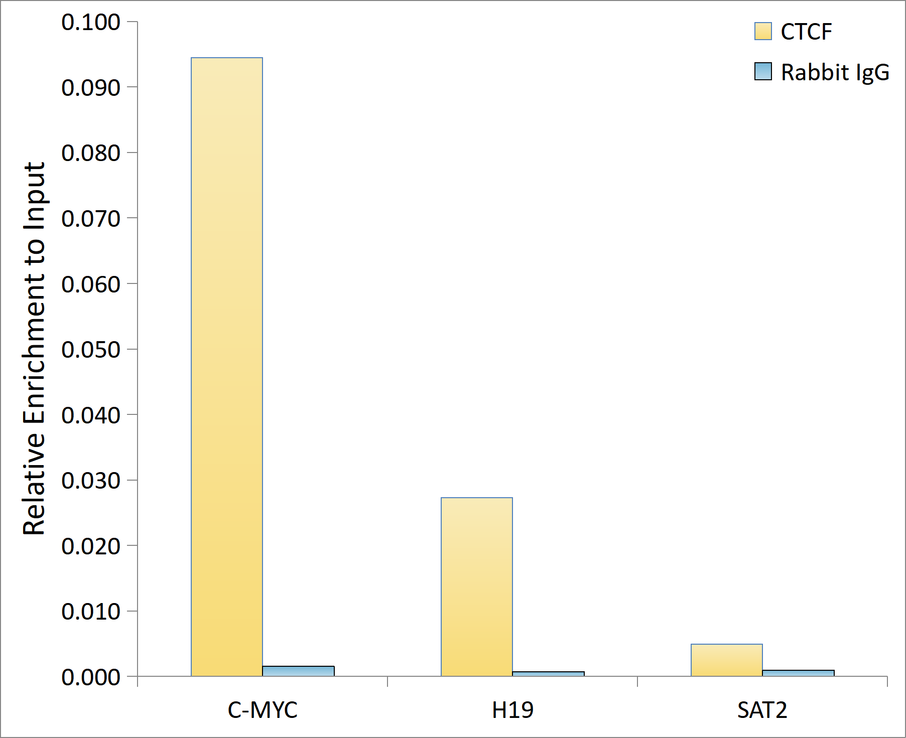 CTCF Rabbit Polyclonal Antibody - Image 8