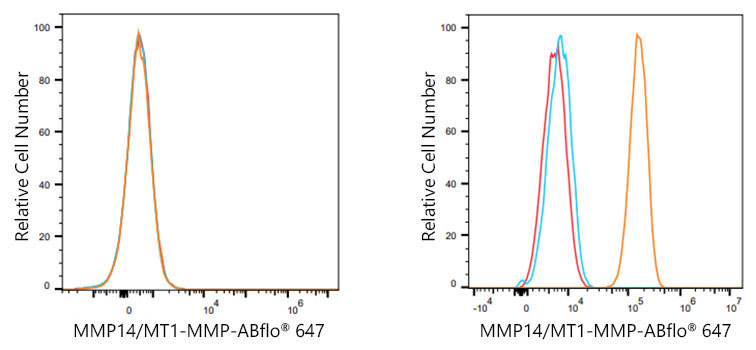 MMP14/MT1-MMP Rabbit Monoclonal Antibody - Image 7