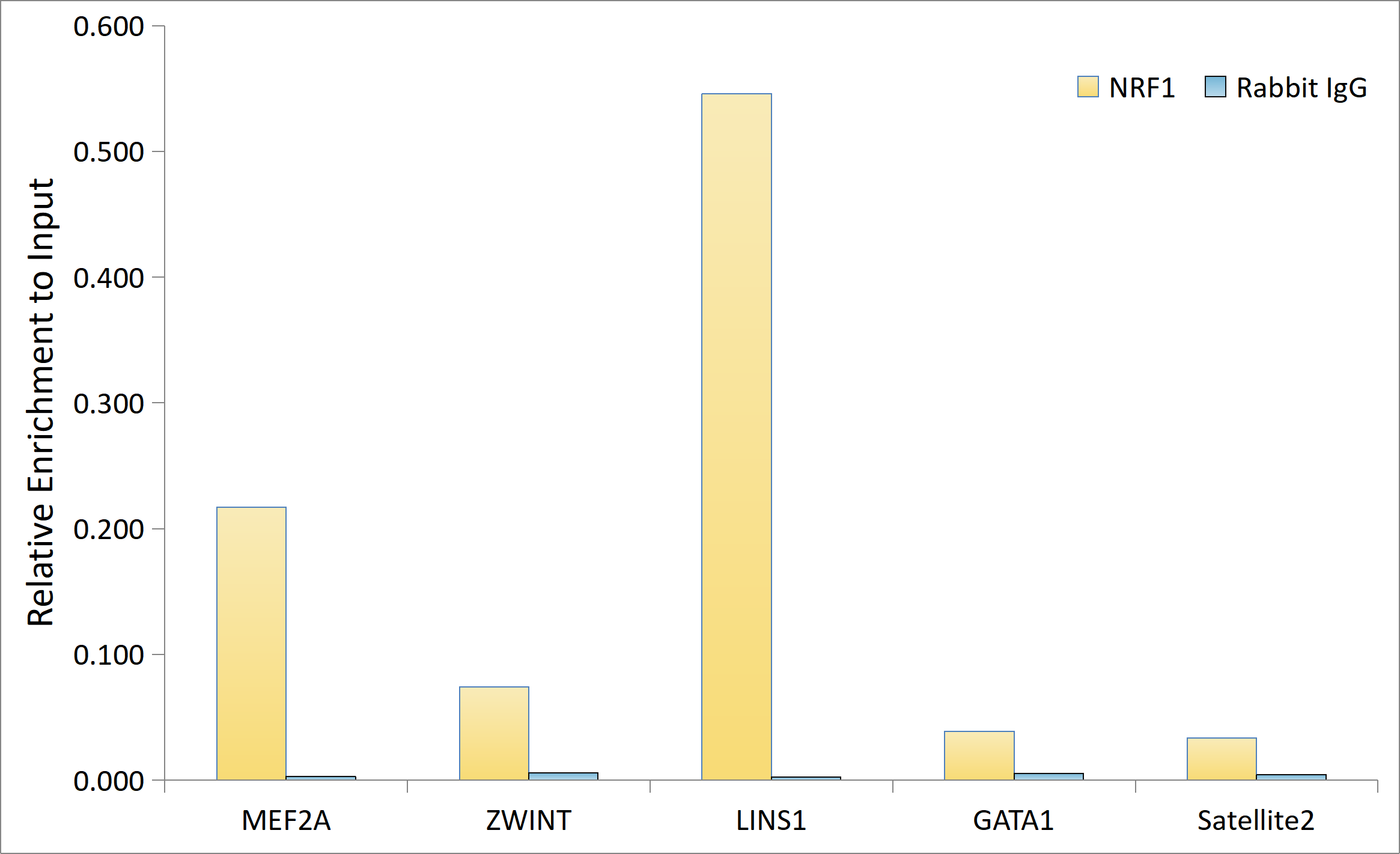 NRF1 Rabbit Monoclonal Antibody - Image 5