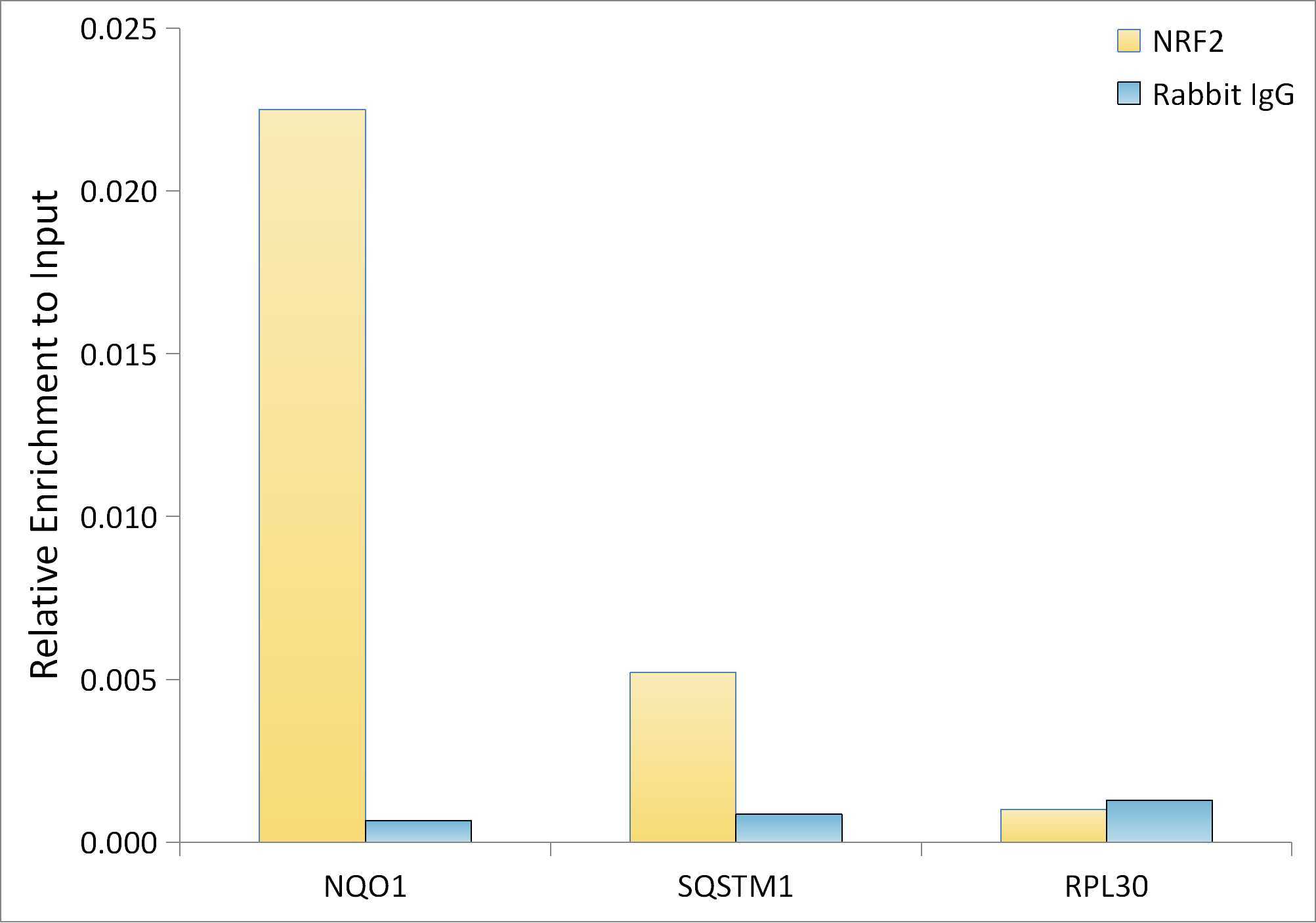 NRF2 Rabbit Monoclonal Antibody - Image 3