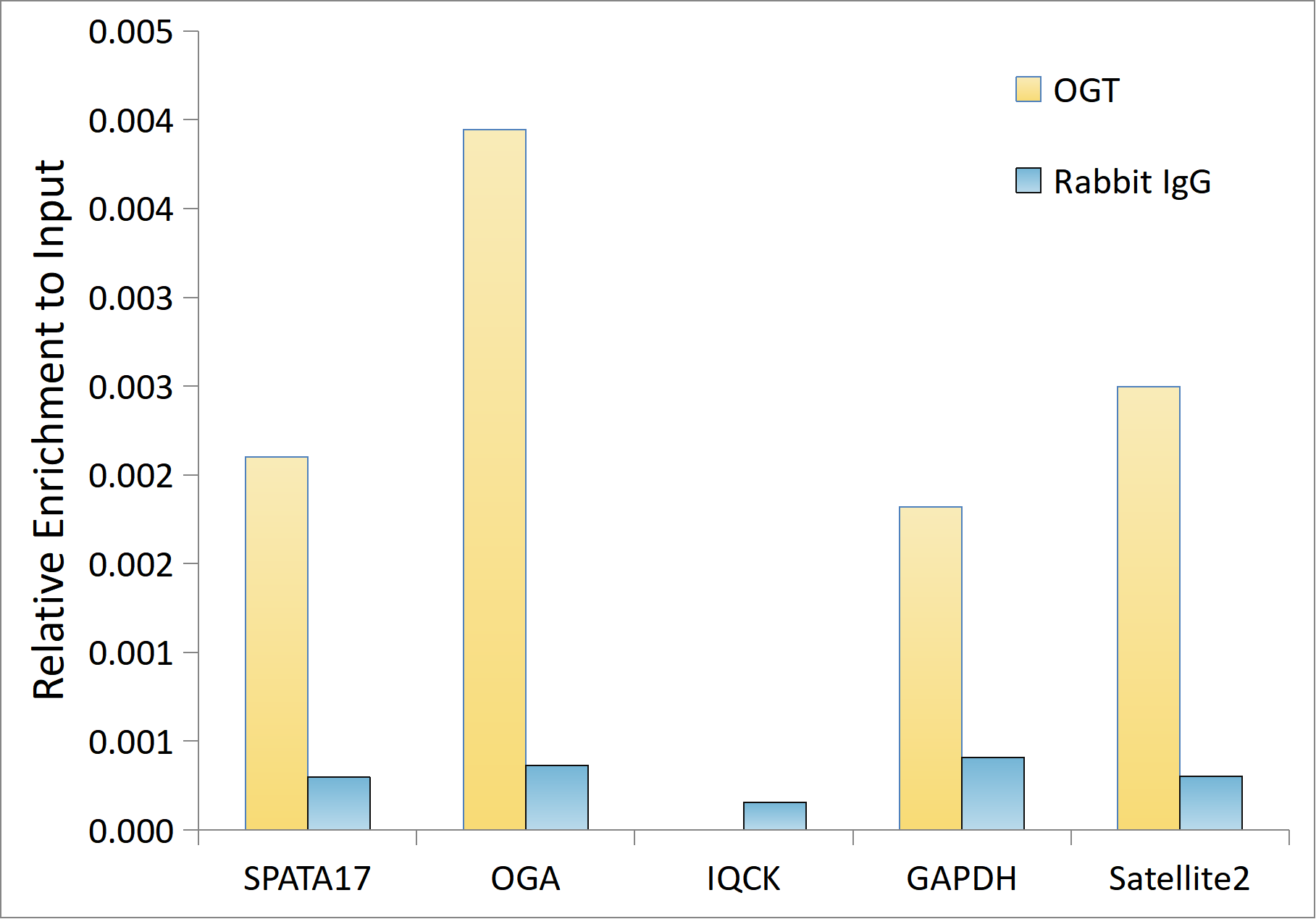 OGT Rabbit Monoclonal Antibody - Image 3