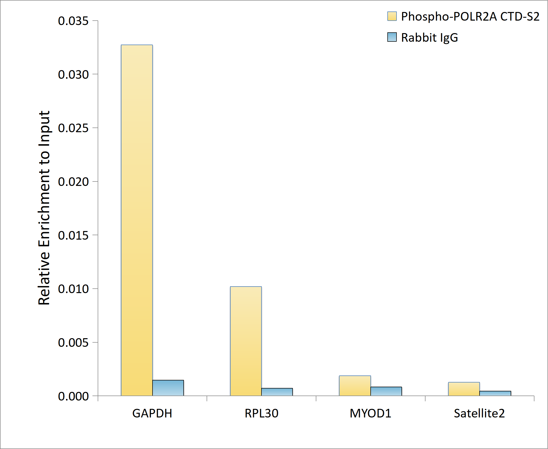 Phospho-POLR2A CTD-S2 Rabbit Monoclonal Antibody - Image 3