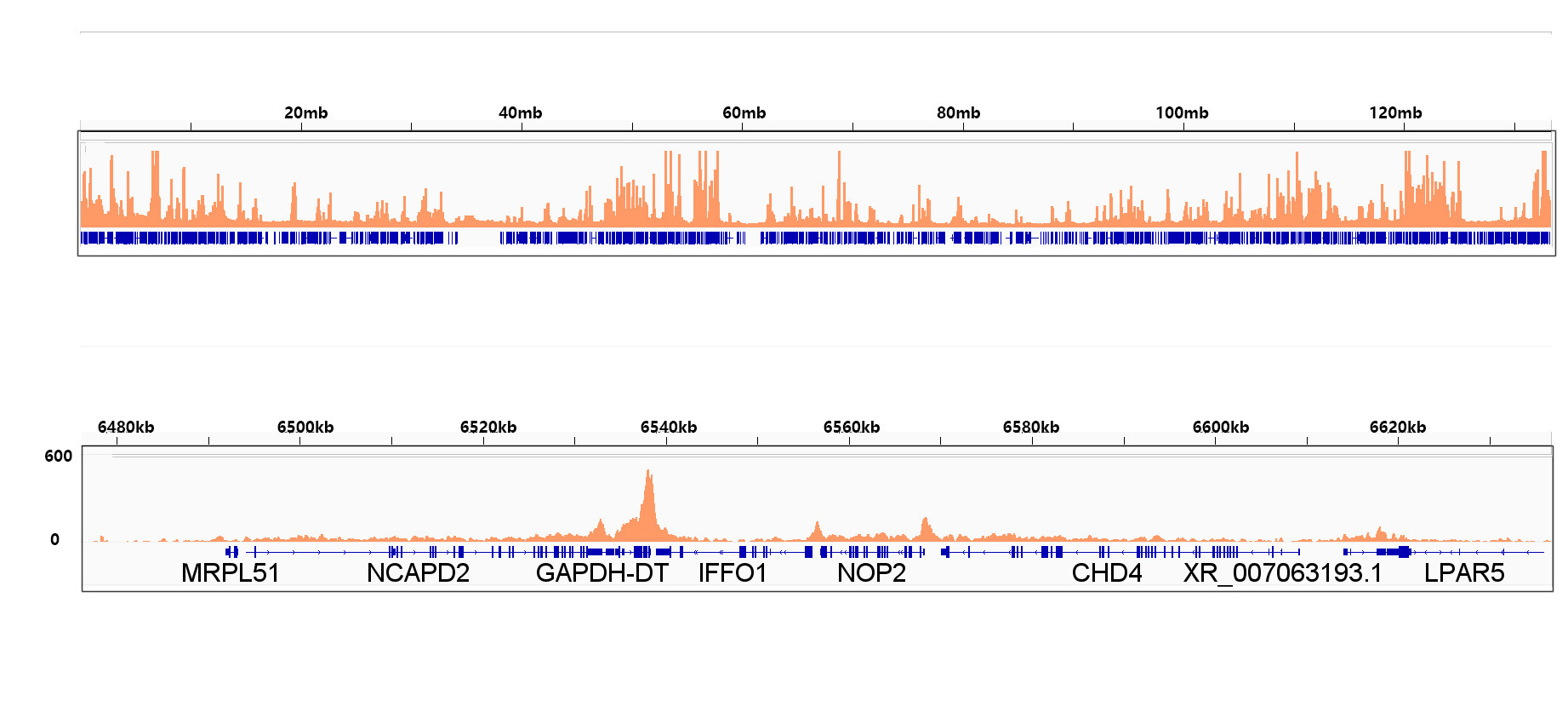 Phospho-POLR2A CTD-S2 Rabbit Monoclonal Antibody - Image 5