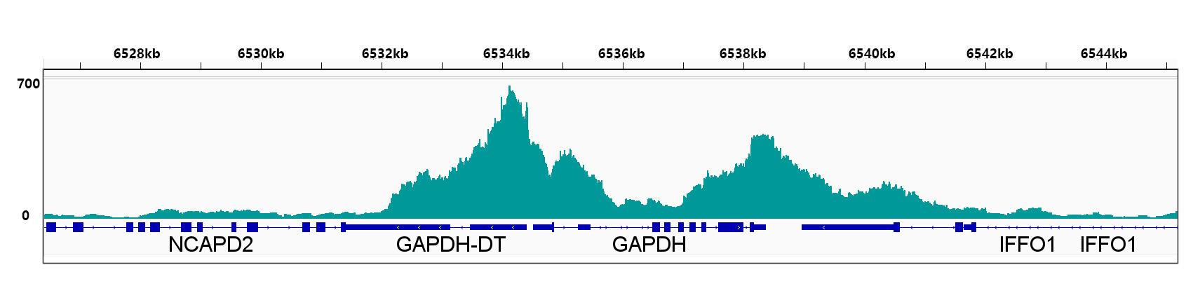 Phospho-POLR2A CTD-S2 Rabbit Monoclonal Antibody - Image 6