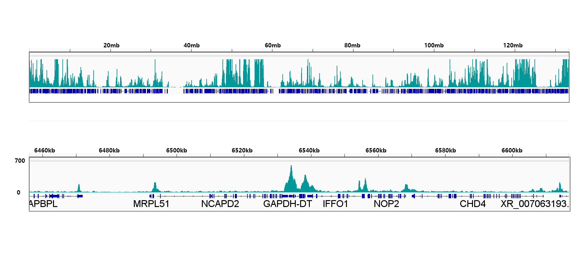 Phospho-POLR2A CTD-S2 Rabbit Monoclonal Antibody - Image 7