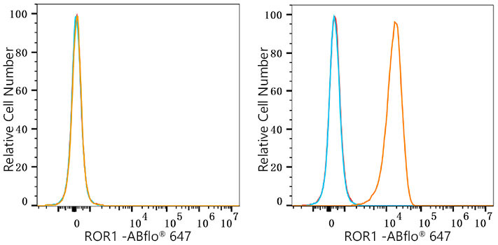 ROR1 Rabbit Monoclonal Antibody