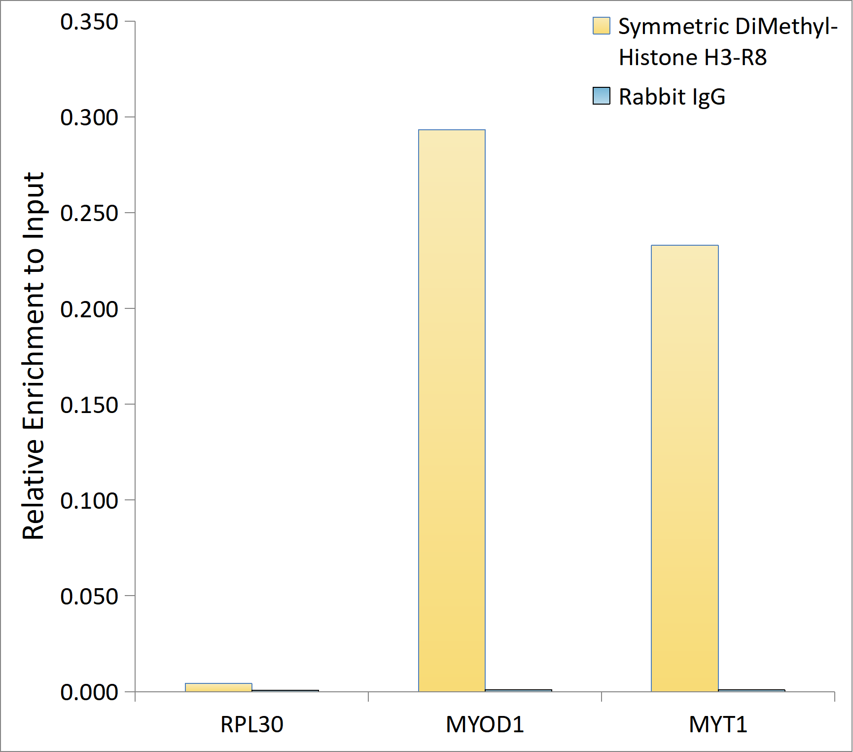 Symmetric DiMethyl-Histone H3-R8 Rabbit Polyclonal Antibody - Image 3